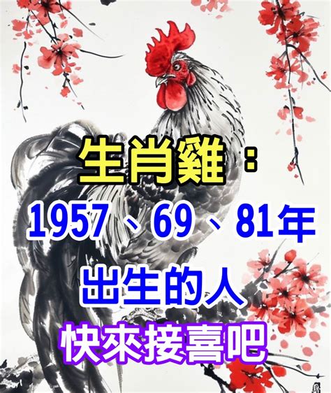 1969雞五行|【1969年生肖五行】1969年生肖五行屬什麼？51歲屬雞人命中註。